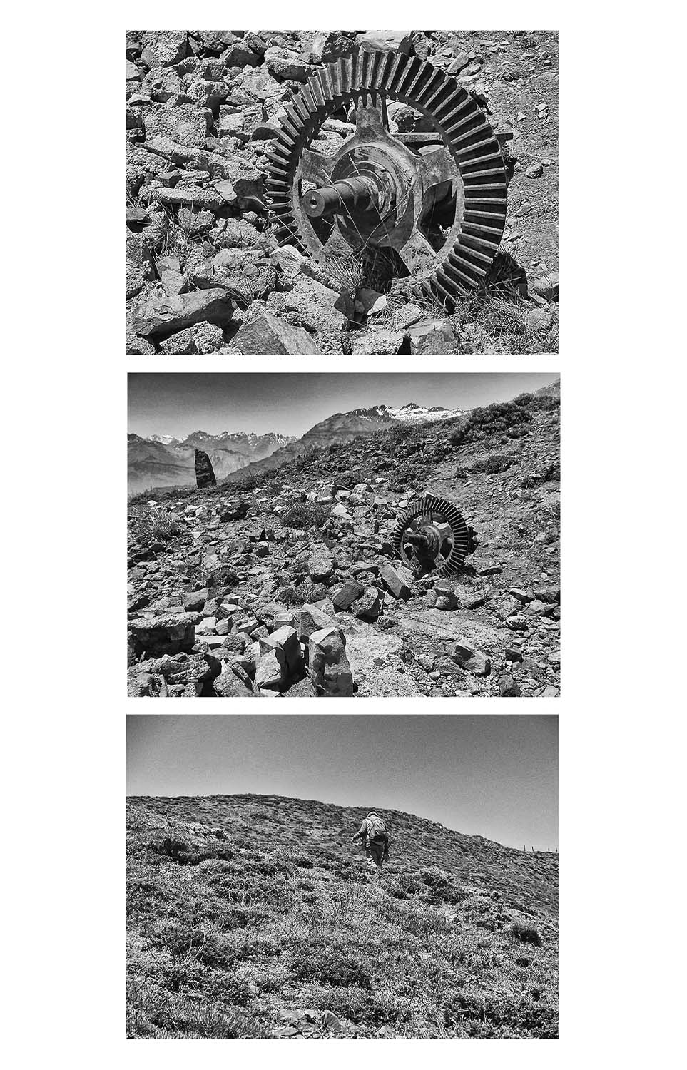 La piedra del entomólogo 2